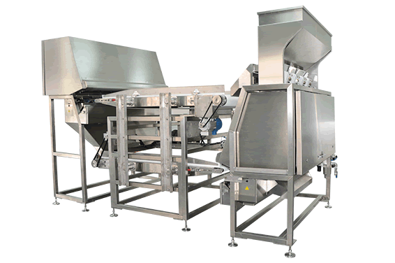 СПД Series Цвет сортировщик