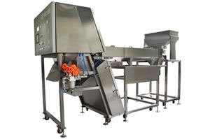 LD Belt-jenis Sorter Warna