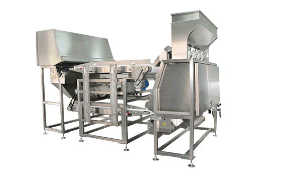 LDS nhựa màu Sorter